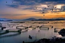 云浮伴游中国网景点丰富(旅游网介绍)