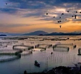 云浮伴游中国网景点丰富(旅游网介绍)