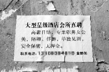 云浮珠海伴游雇用网(珠海游览社雇用信息)