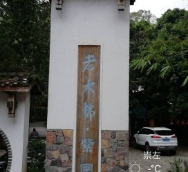 云浮关于伴游中国伴游你们伴得是什么游的信息