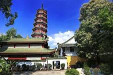 云浮广州自由行(广州 自由行)