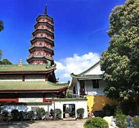 云浮广州自由行(广州 自由行)