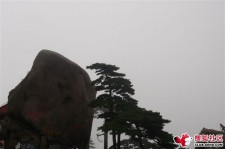 云浮上海伴游私家陪游雇用女模(上海伴游私家陪游雇用女模特)