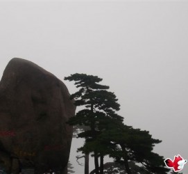 云浮上海伴游私家陪游雇用女模(上海伴游私家陪游雇用女模特)
