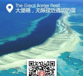 云浮中国250家旅行社结伴游新西兰(新西兰当地旅行社)
