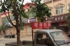 云浮上海伴游 用伴游造句大全(5