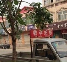 云浮上海伴游 用伴游造句大全(5
