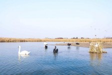 云浮南昌附近伴游小妹兼职(1534939978姐的微信德惠市)