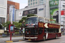 云浮上海私人伴游 上海过年怎么玩？这些“微游”线路了解下→