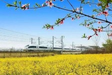 云浮高铁游(高铁游戏下载手机版)
