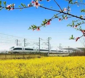 云浮高铁游(高铁游戏下载手机版)