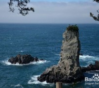 云浮旅游全攻略(上海旅游全攻略)