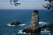 云浮旅游全攻略(上海旅游全攻略)