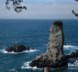 云浮旅游全攻略(上海旅游全攻略)
