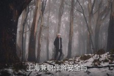 云浮上海私人伴游 上海伴游，上海兼职伴游安全吗