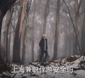 云浮上海私人伴游 上海伴游，上海兼职伴游安全吗