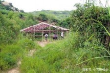 云浮北海伴游兼职雇用信息(北海伴游兼职雇用信息大全)