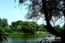 云浮西湖旅游攻略(上海到杭州西湖旅游攻略)