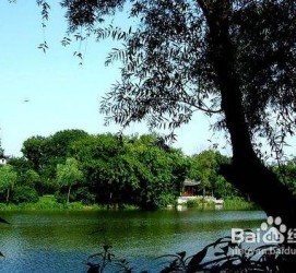 云浮西湖旅游攻略(上海到杭州西湖旅游攻略)
