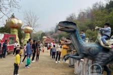 云浮中国伴游带你打卡网红南山竹海(南山竹海网上预约)