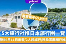 云浮旅游价格(旅游价格机制)