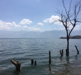 云浮洱海旅游攻略(洱海旅游攻略自由行)