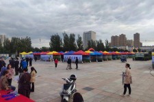 云浮通辽伴游雇用(哈尔滨伴游雇用)