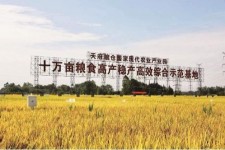 云浮关于成都商务伴游外围雇用的信息