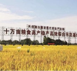 云浮关于成都商务伴游外围雇用的信息