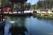 云浮久久伴游**(久久游代理)