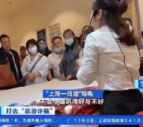 云浮上海私人伴游 看·法｜100元游上海？！“旅社”涉嫌诈骗被一窝端