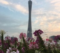 云浮广州旅游攻略(杭州到广州旅游攻略)