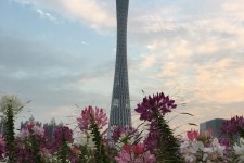 云浮广州旅游攻略(杭州到广州旅游攻略)
