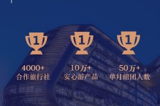 云浮上海私人伴游 ​ “小而美”的新时代：2020年国内新跟团消费报告