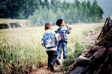 云浮河南一家四口结伴游中国2个月(河南适合一家四口旅游的地方)