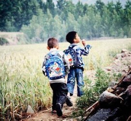 云浮河南一家四口结伴游中国2个月(河南适合一家四口旅游的地方)
