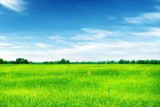 云浮上海伴游 上海模特伴游微信号的交友宣言