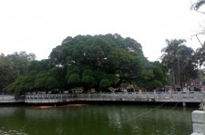 云浮福州旅游攻略(福州旅游攻略二日游)