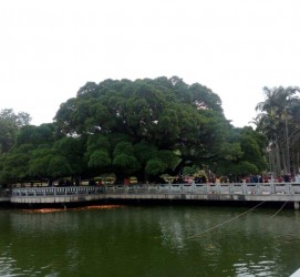 云浮福州旅游攻略(福州旅游攻略二日游)