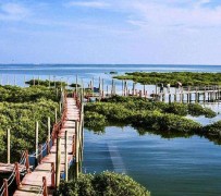 云浮旅游哪里好玩(云南旅游哪里好玩)