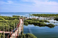 云浮旅游哪里好玩(云南旅游哪里好玩)