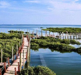 云浮旅游哪里好玩(云南旅游哪里好玩)