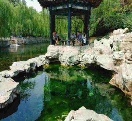 云浮济南旅游攻略(青岛威海济南旅游攻略)