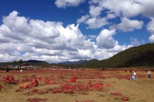 云浮旅游去处(暑期最好的旅游去处)