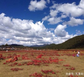 云浮旅游去处(暑期最好的旅游去处)