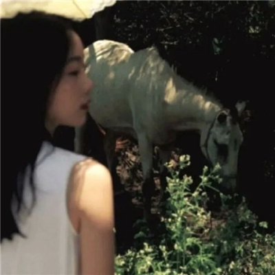 云浮私家伴游让你拥有一次完美的旅游体验